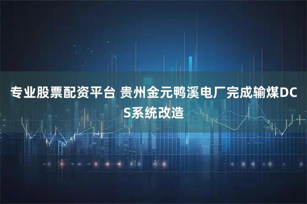 专业股票配资平台 贵州金元鸭溪电厂完成输煤DCS系统改造